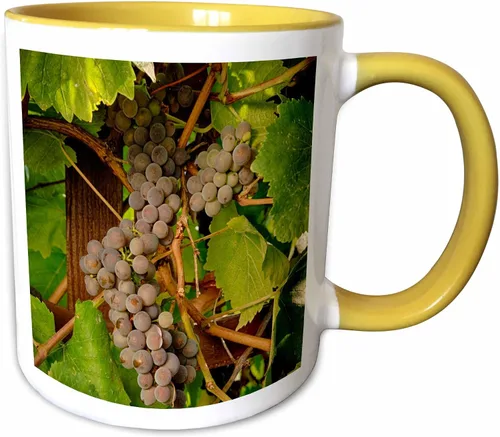 Vista 12 de 3dRose Danita Delimont – Vineyards – Estados Unidos, Oregón, Keizer, Pinot Gris Vineyard – US38 RBR0729 – Rick A Brown – Tazas, Negro/Blanco