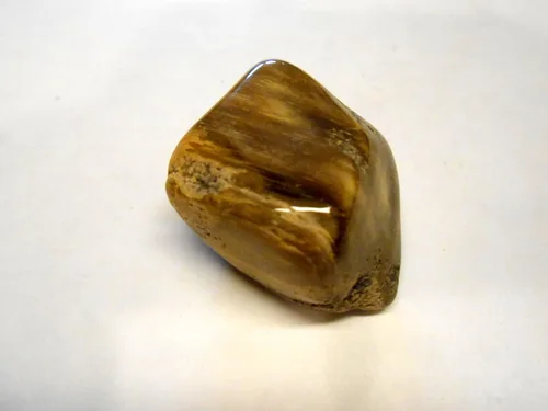Vista 8 de Rock Tumbler - Kit de recambio de gemas Cameron, Texas Petrified Wood Tumbling Rough 8oz