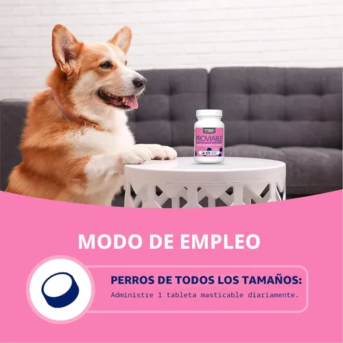 Vista 6 de Nutramax Probióticos Proviable para perros, Suplemento diario de salud digestiva con múltiples cepas de bacterias, probióticos para perros más