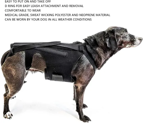 Vista 3 de Soporte de espalda para perro, chaleco de apoyo para la espalda de mascotas para perros salchicha, corgis y otros perros, artritis IVDD, hernia