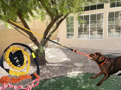 Vista 2 de Juguete elástico para perros de 20.35 pies con cuerda interactiva reforzada con dos recambios de repuesto, juguetes interactivos para perros