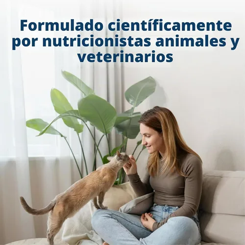 Vista 5 de Blue Buffalo - Premios crujientes Bursts para gatos, de pollo, tarro de 340,1 g