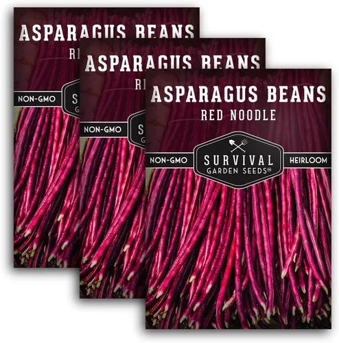 Vista 10 de Yardlong - Semillas de frijoles para plantar, semillas de frijoles espárragos de fideos rojos, vainas rojas extralargas en vides trepadoras amantes