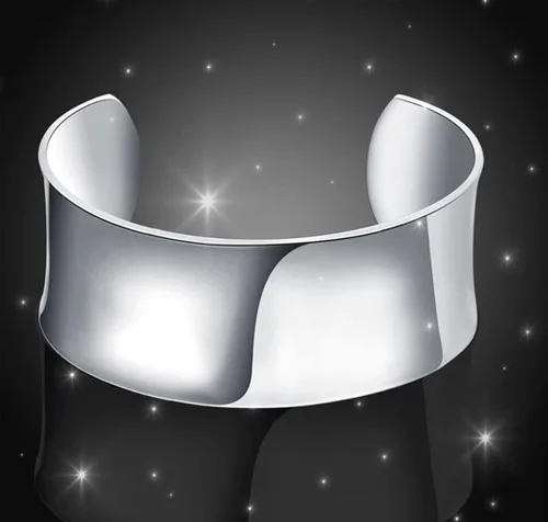 Vista 2 de Blazing Autumn Pulseras de plata esterlina 925 joyería de moda para mujer, Plata de ley Plata, Sin gemas.