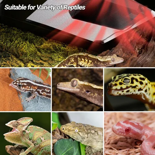 Vista 8 de REPTI ZOO Panel de Calor para Reptiles con Temperatura Ajustable, Placa de Calentamiento para Reptiles, Solución de Calentamiento sin Luz con Rango