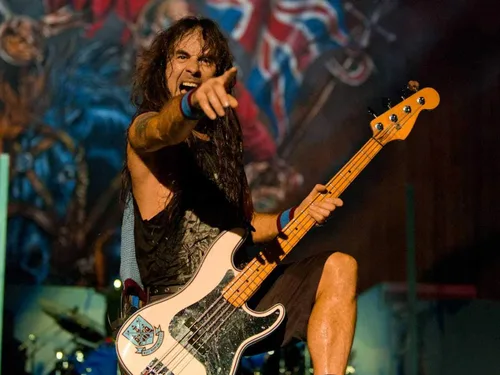 Vista 7 de Seymour Duncan SPB-4 Steve Harris Signature P-Bass Pickup