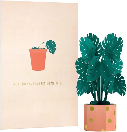Vista 13 de Lovepop Tarjeta emergente para el día de la madre para ella, tarjetas de felicitación 3D para mamá, esposa, mujeres, las mejores hijas hacen las Las