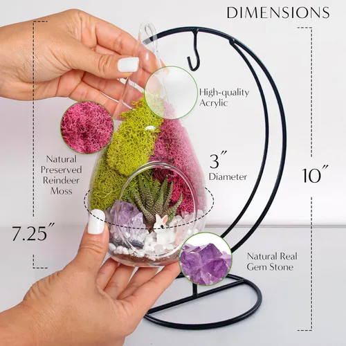 Vista 3 de Creations by Nathalie Kit de terrario casero de 18 cm en forma de lágrima con plantas vivas - Maceta colgante de vidrio con soporte para adultos