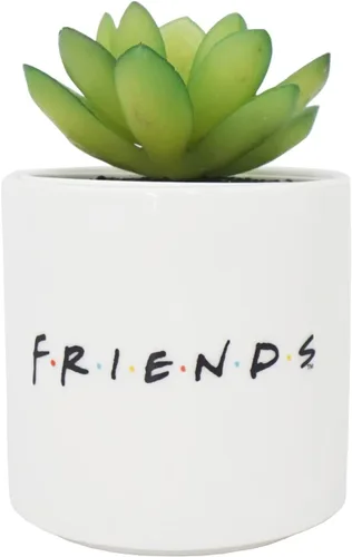 Vista 2 de FRIENDS Central Perk - Maceta de interior con planta sintética, 4.6 x 2.8 x 2.8 in, multicolor, estilo moderno