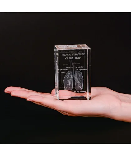 Vista 4 de Ultrassist Modelo 3D de Pulmón Humano de Cristal, Modelo Anatómico Grabado Láser para Decoración de Hogar y Oficina, Regalos para Neumólogos