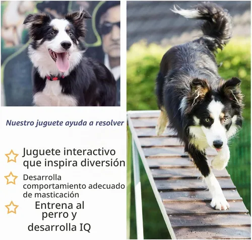 Vista 5 de Fida Juguetes de cuerda para perros, paquete de 4 unidades, resistentes cuerdas de algodón para masticar para interiores y exteriores, juego