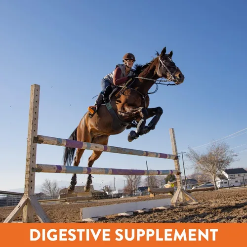 Vista 4 de Suplemento de apoyo gástrico Plus para caballos con Omega 3 Alivia úlceras, suplemento calmante, magnesio y otros minerales vitales Polvo, bolsa