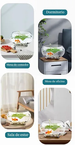 Vista 5 de Tanque de peces de vidrio de 2 galones, resistente y agradable pecera Betta, pequeños acuarios para pequeños peces ornamentales y reptiles, vidrio