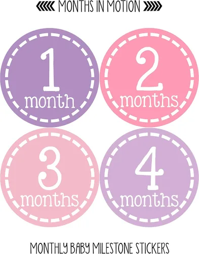 Vista 2 de Calcomanías mensuales para bebé, calcomanías de hitos para bebé, calcomanías de niña recién nacida, calcomanías de mes para niña, calcomanías