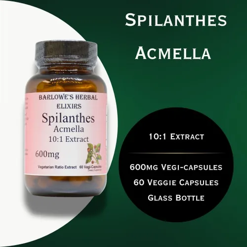 Vista 3 de Barlowe's Herbal Elixirs Extracto de Acmella Spilanthes Etiqueta limpia Botella de vidrio Sin estearatos Sin silicatos