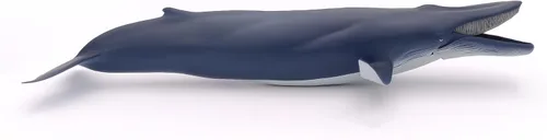 Vista 9 de Papo - Figura realista de ballena azul para niños - A partir de 3 años - Colección de vida marina - Juego educativo de mamíferos marinos - Juguete