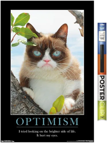 Vista 21 de Trends International Grumpy Cat - El Lado Más Brillante Póster de Pared, 14.725 x 22.375 pulgadas, Versión Enmarcada de Madera de Granero