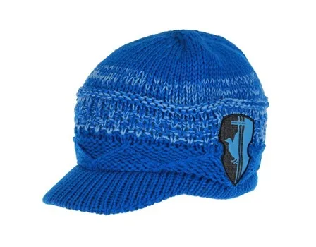 Vista 4 de Gorra de Lana con Visera de Ravenclaw de Harry Potter Multicolor