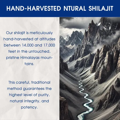 Vista 3 de Resina Shilajit pura del Himalaya, energía orgánica y apoyo a la inmunidad, máxima potencia con más de 85 minerales traza y ácido fúlvico, Shilajit