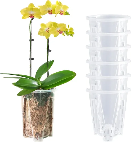 Vista 9 de Juego de 6 macetas de orquídea de 14 cm, macetas de orquídea para trasplante, macetas de orquídea transparentes de plástico con agujeros, maceta