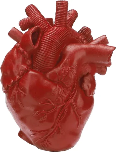 Vista 7 de Florero anatómico de corazón para flores, jarrones con forma de resina, esculturas de ornamento de escritorio, estante para el hogar, centros