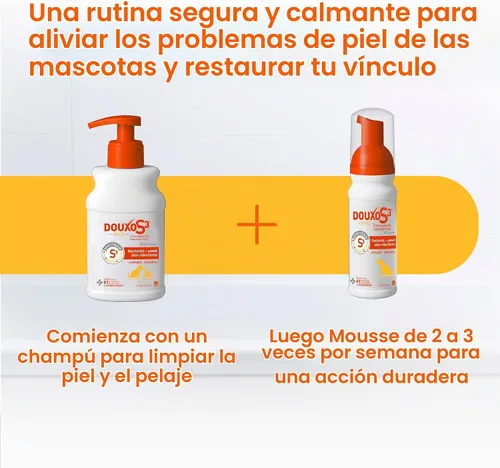 Vista 6 de Douxo S3 PYO Champú de clorhexidina (6.7 onzas) y mousse (5 fl oz) para perros