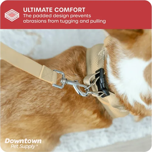 Vista 140 de Downtown Pet Supply Arnés para perro Step-in – Sin tirones, malla acolchada ajustable con ribete reflectante, correa de hebilla segura – Arnés