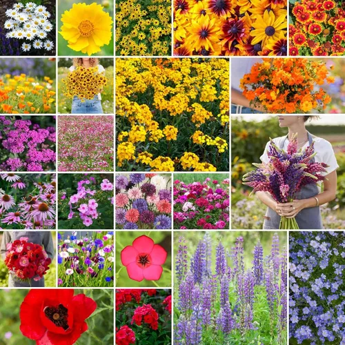 Vista 11 de Eden Brothers Native Western Xeriscape - Mezcla de semillas de flores