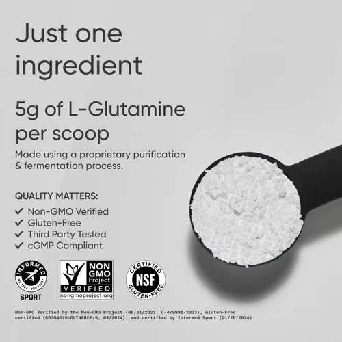 Vista 2 de Sports Research L-Glutamina - Recuperación de Entrenamiento, Salud Inmunológica y Apoyo a la Salud Intestinal - 5 G por Porción - 17.64 Oz (500 g)