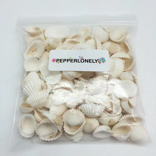 Vista 4 de Conchas marinas Pepperlonely, vieiras de diferentes tamaños