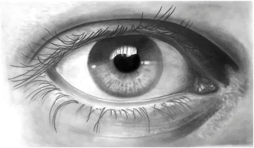 Vista 5 de Faber-Castell Goldfaber - Juego de bocetos de grafito