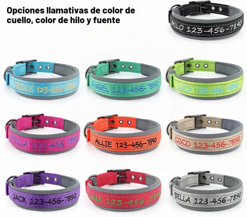 Vista 6 de Collar de perro personalizado, nombre bordado y número de teléfono, collar de nailon reflectante personalizado para mascotas, ajustable