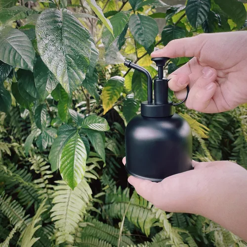 Vista 3 de Plant Mister - Botella rociadora de acero inoxidable para plantas de interior, rociador de bonsái, rociador de suculentas, atomizador de plantas