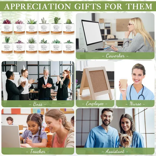 Vista 3 de 12 macetas inspiradoras para suculentas, regalo de agradecimiento a granel para mujeres, empleadas, profesores, compañeras de trabajo, Sometimes You