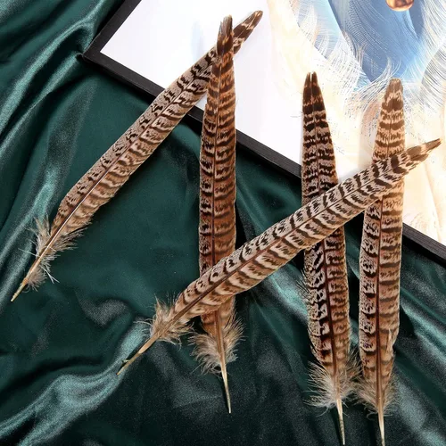 Vista 8 de THARAHT 24 plumas de faisán femenino, plumas naturales de 6 a 8 pulgadas, 5.9-7.9 in para manualidades, hogar, boda, fiesta, actuación, decoración