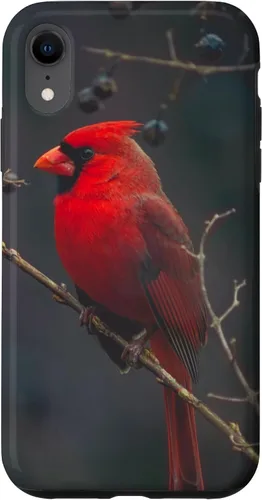 Vista 25 de Funda para iPhone 16 Cardinal Bird