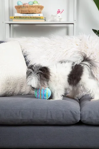 Vista 3 de Midlee Juguete de peluche para perro de huevo de Pascua, azul (pequeño)