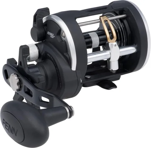 Vista 9 de Carrete de pesca Penn Rival Level Wind convencional