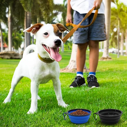 Vista 6 de Paquete de 2 cuencos de viaje para perros pequeños, cuencos plegables para agua para gatos, plato portátil para alimentación de mascotas