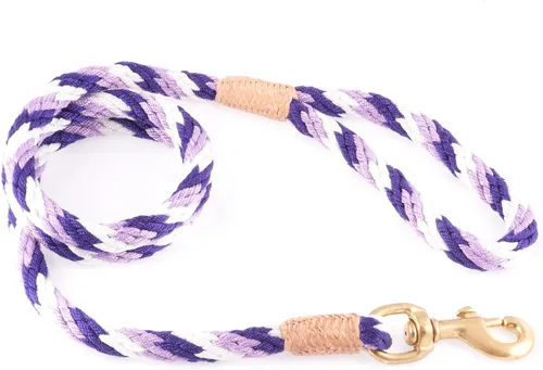 Vista 251 de Alvalley Correa para perros estilo broche – Correa de nailon estilo broche para perros – Fácil de manejar – Perfecto para perros pequeños, medianos
