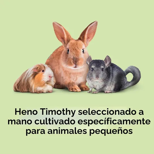 Vista 2 de Kaytee Heno Timothy Cortado en Obleas Totalmente Natural para Mascotas Conejillos de Indias, Conejos y Otros Animales Pequeños, 60 Onzas