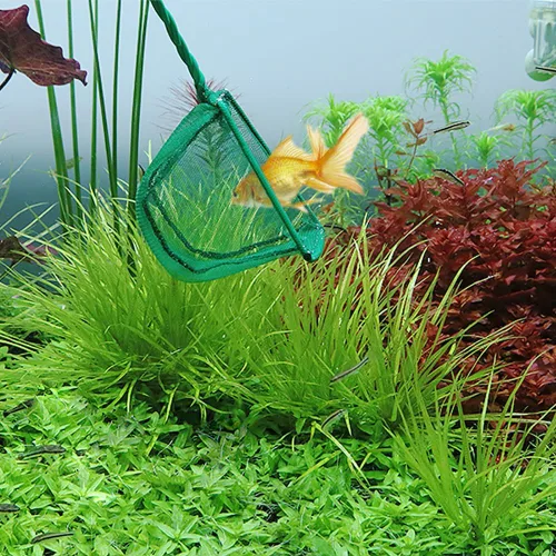 Vista 6 de 2 redes pequeñas para peces de acuario, redes grandes para peceras, redes de captura de peces, redes de estanque de peces con mango de plástico