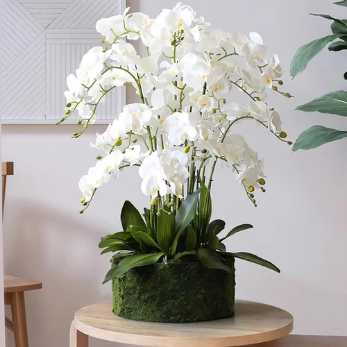 Vista 5 de HinyoCo 5 piezas de flores artificiales de orquídea, flores artificiales de Phalaenopsis de 32 pulgadas para decoración del hogar y boda (blanco)