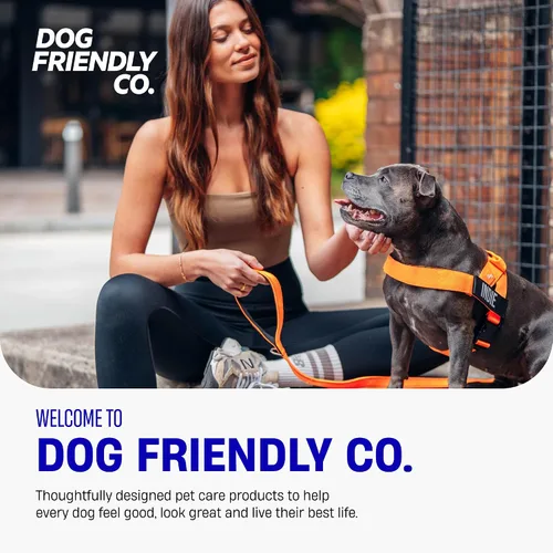 Vista 6 de Arnés para perro Dog Friendly Co Correas resistentes a rozaduras, cuello y pecho ajustables, y anillo en D resistente Resistente, cómodo, fácil