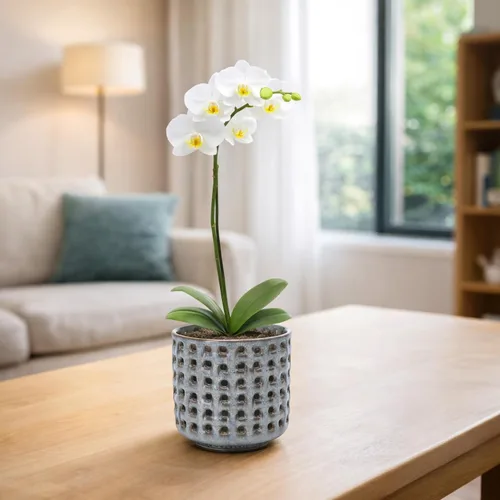 Vista 3 de D'vine Dev Maceta de cerámica para orquídeas de 4.5 pulgadas con diseño de recorte de celosía, maceta esmaltada con maceta transparente y platillo