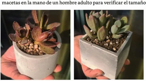 Vista 3 de Moldes de silicona para maceta de hormigón, para plantas suculentas, base incluida, hazlo tú mismo