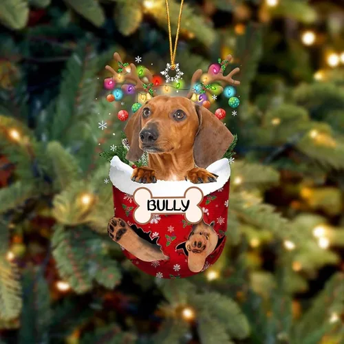 Vista 193 de IZI POD Affenpinscher Adorno de Navidad personalizado para perro, adorno de bolsillo de nieve para perro para árbol de Navidad, adorno acrílico