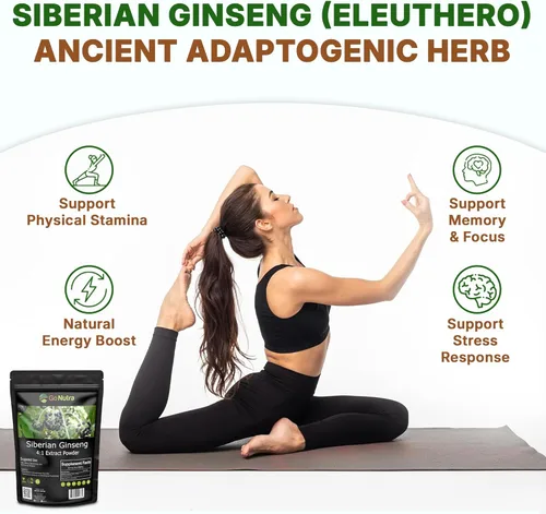 Vista 3 de Go Nutra Ginseng siberiano - Polvo de raíz de Eleuthero Extracto 4:1 4 veces más fuerte Apoya la energía y la resistencia Natural