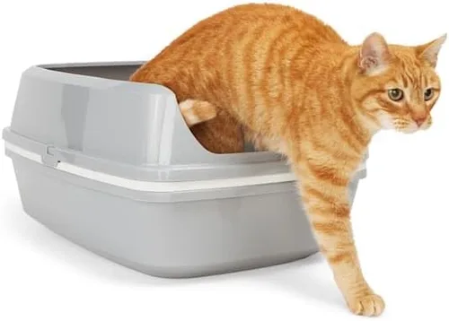Vista 2 de So Phresh by Petco - Sartén grande para gatos, color gris y blanco, 19.7 pulgadas de largo