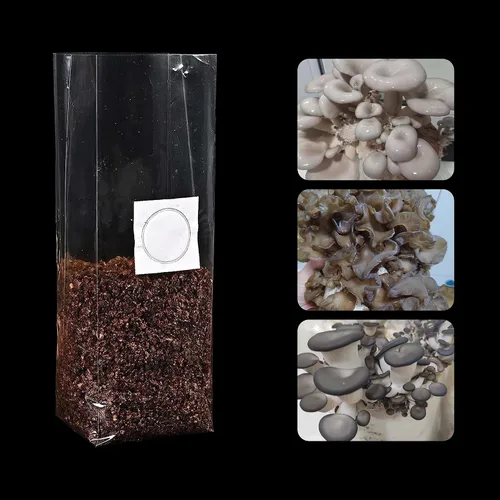 Vista 5 de Bolsas de cultivo de hongos R con filtro de 0.5 micrones de polipropileno de 3 mil para sustrato autoclave cultivo de hongos 8 x 5 x 19 pulgadas, 30